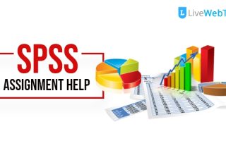 Top Online SPSS Assignment Help Providers in Sheffield UK