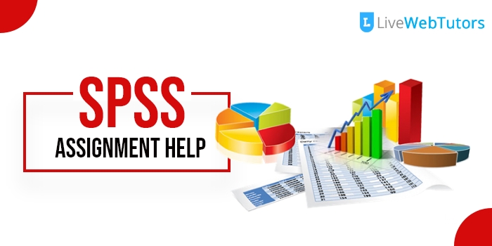 Top Online SPSS Assignment Help Providers in Sheffield UK
